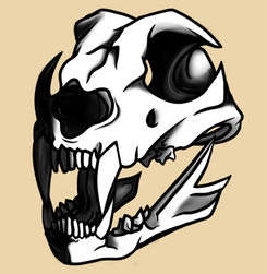 "Dog Skull WIP" Digital Art